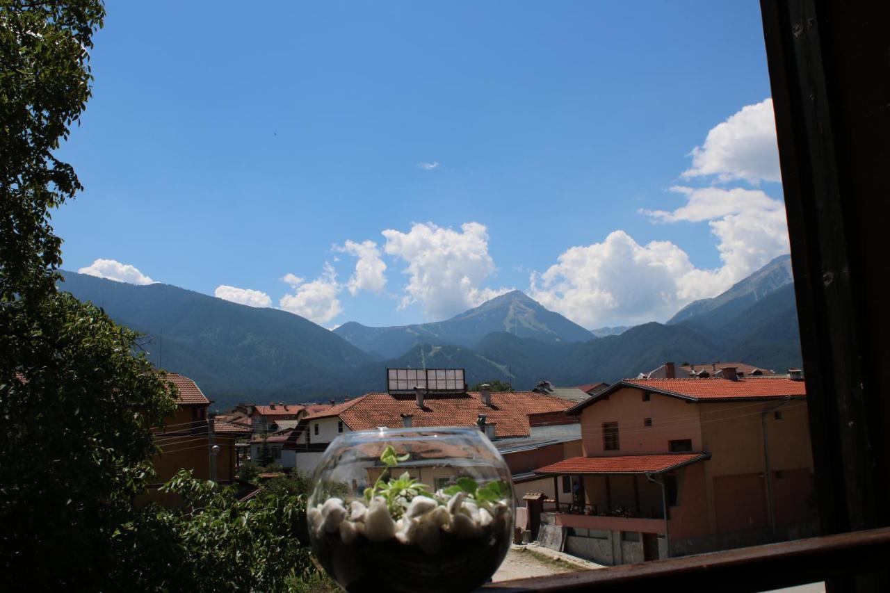 North Star Hotel Bansko Buitenkant foto